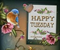 Happy Tuesday