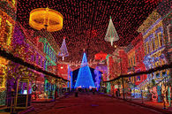 LIT CITY STREET