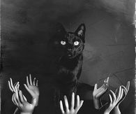 Creepy Black Cat