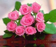 Pink Rose Bouquet