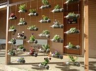 Soda Bottle Garden