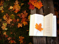 Fall Reading