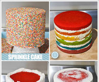 DIY Cake Covered With Sprinkles