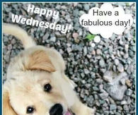 Happy Wednesday
