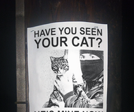 Have you seen her