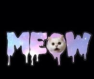 Meow