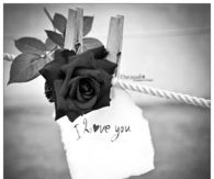 I love you