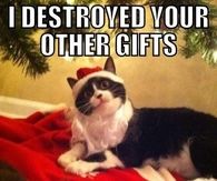 Destroyed your gifts