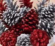 Red and Silver Pine Cones