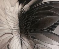 She grew wings
