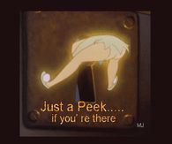 Peephole Tinkerbell