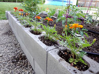 How to make a garden bed