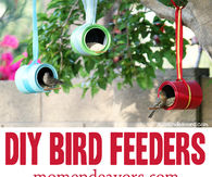 How to make a bird feeder for your garden