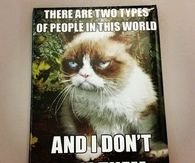 Grumpy Cat Two Guy