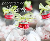 Peppermint and Cocoa Christmas Ornament