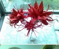 Origami Flowers