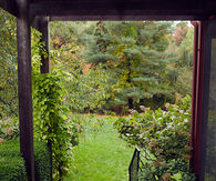 Summer garden