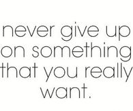 Never Give Up