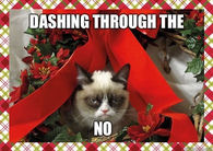 Dashing through the