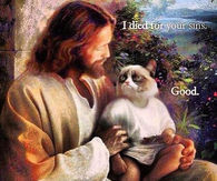 Grumpy cats faithful moment