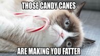Those Candy canes