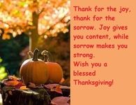 Thank for the joy, thank for the sorrow....