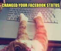 Changed your facebook status