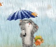 Autumn Rain