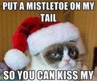 Mistletoe on my Tail