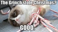 The Grinch Stole Xmas