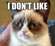 Grumpy Cats true feelings