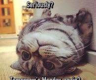 Tomorrows Monday