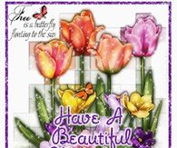 Have a Beautiful Monday
