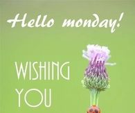 Hello Monday