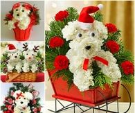 How to create a puppy bouquet