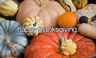 Happy Thanksgiving