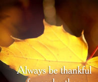 Be thankful 