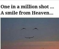 Happy Skies!!