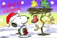 37 days till christmas