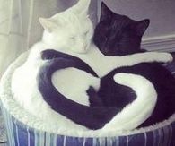 Love Found a home