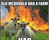 Old McDonald Had