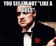 I am the Boss