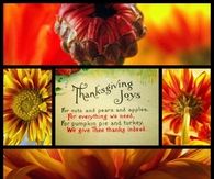 Thanksgiving Joys