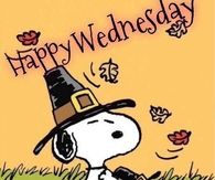 Happy Wednesday