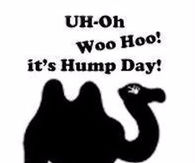 It's Wednesday