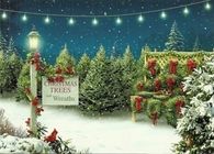 Christmas trees and wreaths