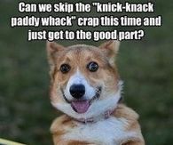 give a dog a bone