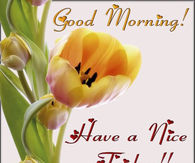 Good Morning Friday