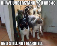 Cats know best