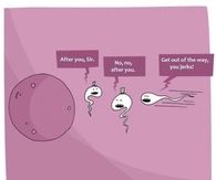 How Gentlemen died